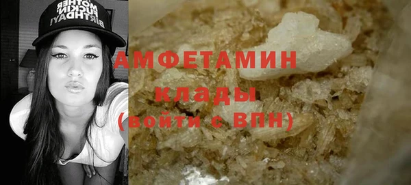 твердый Мегион