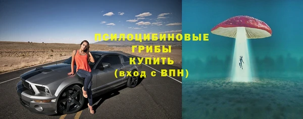 ПСИЛОЦИБИНОВЫЕ ГРИБЫ Алексин