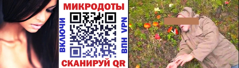 omg ссылка  Салават  Псилоцибиновые грибы GOLDEN TEACHER  наркота 
